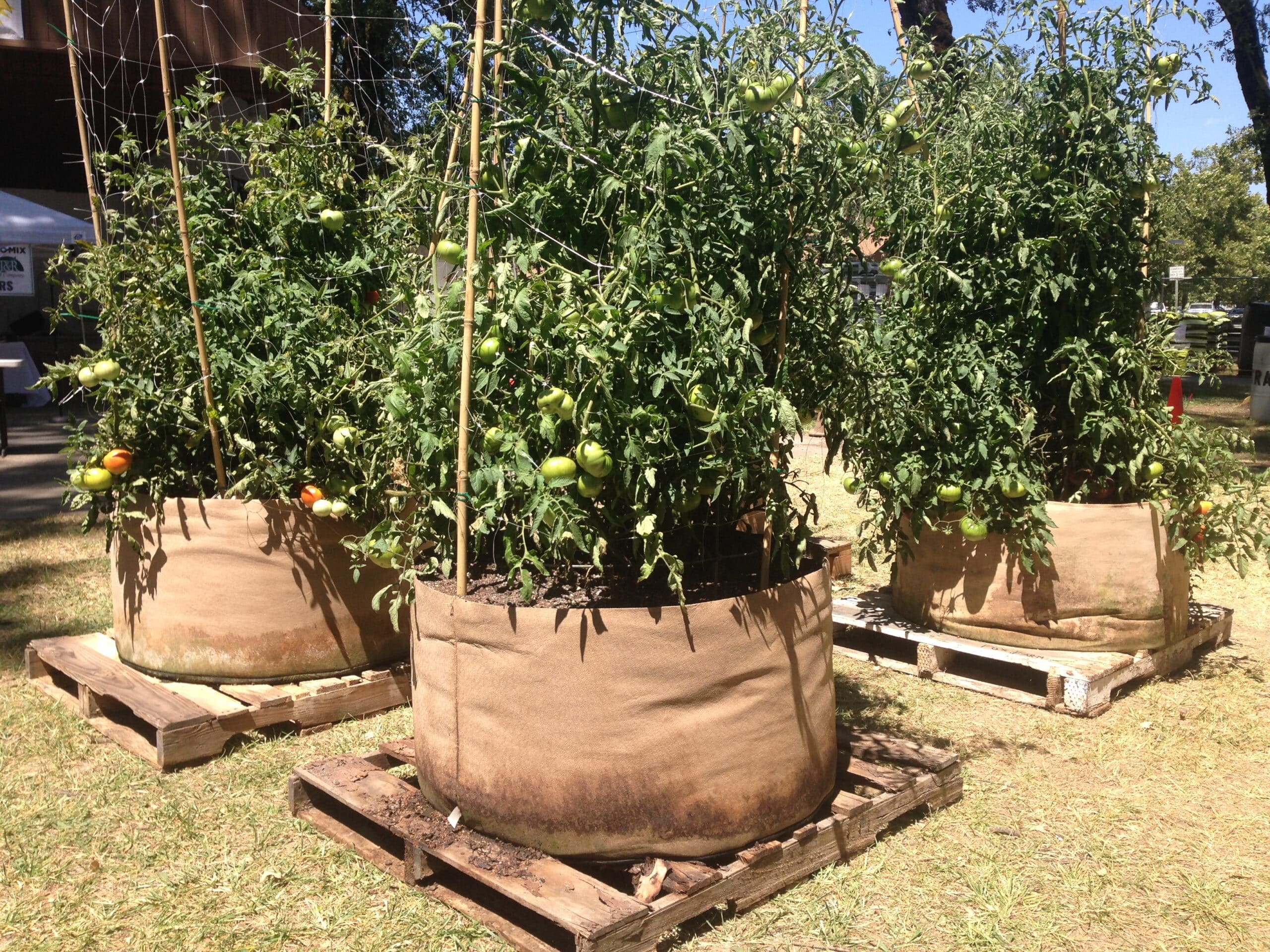 Smart Pot Fabric Planter | 1–1,000 Gallon | Multiple Colors