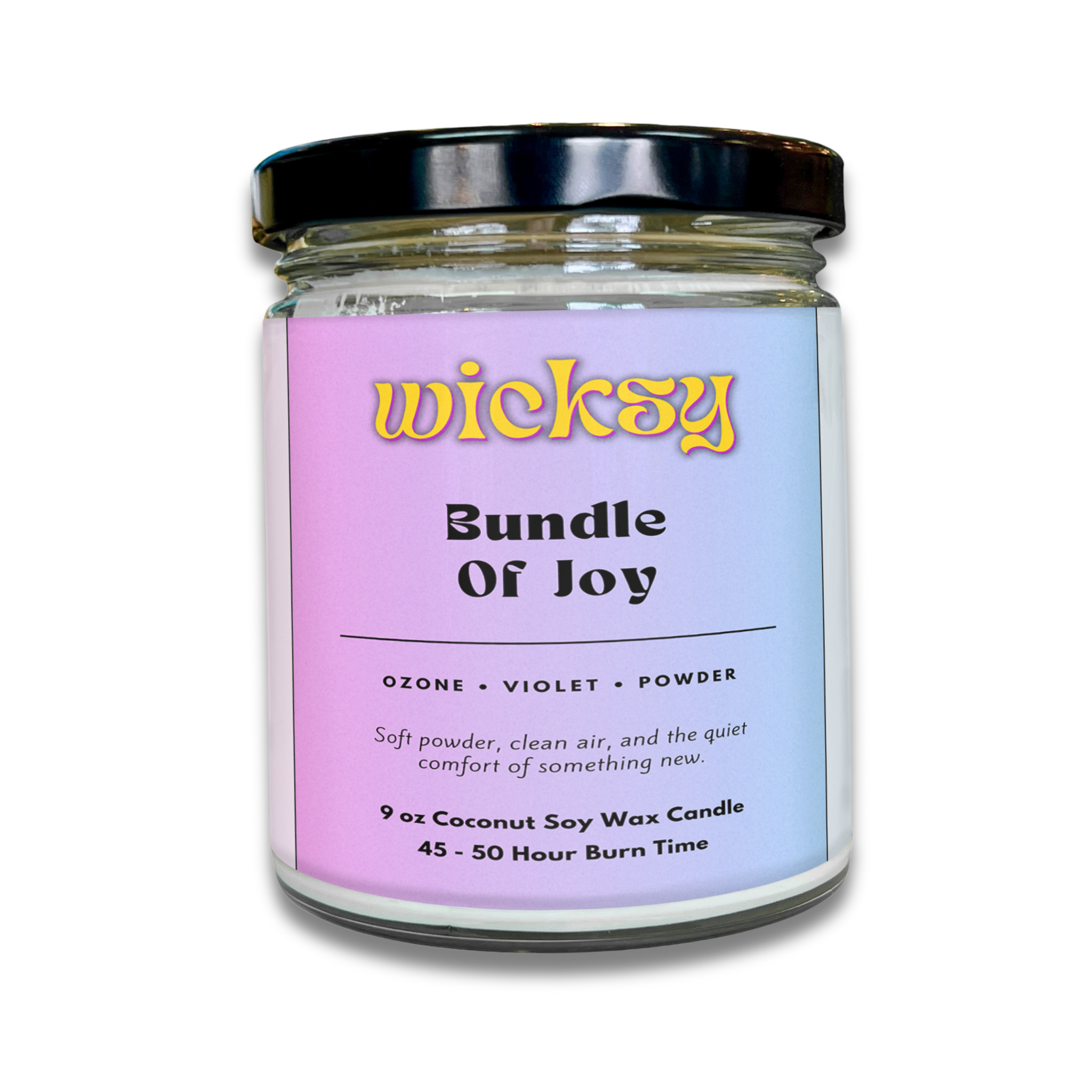 Wicksy 9oz Single Wick Candle | Spotify Playlist + Wildflower Seed Kit Included