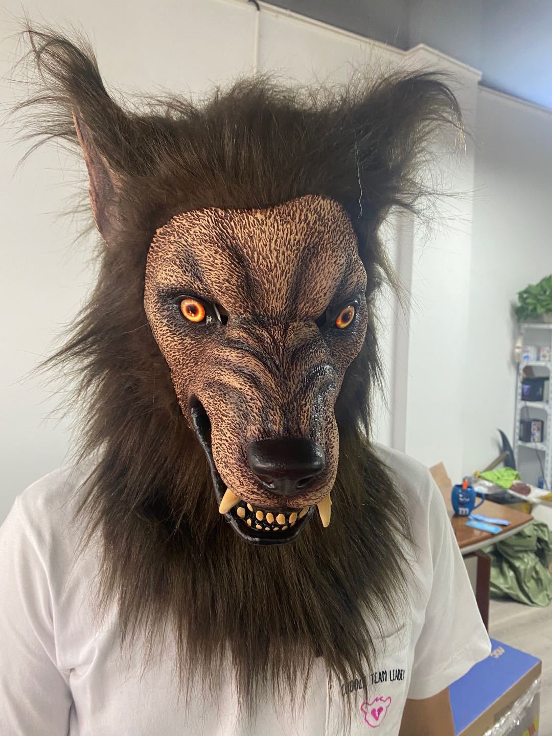 Person wearing a wolf mask indoors with a casual background