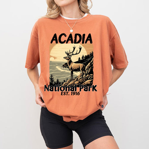 Person wearing an orange t-shirt with a graphic of a deer and 'Acadia National Park' text on a plain background