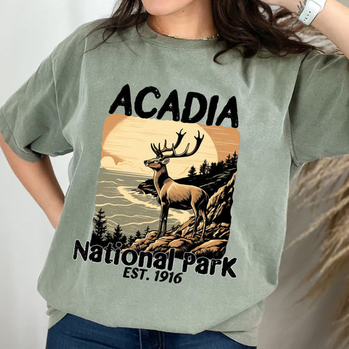 Person wearing a green t-shirt with Acadia National Park graphic