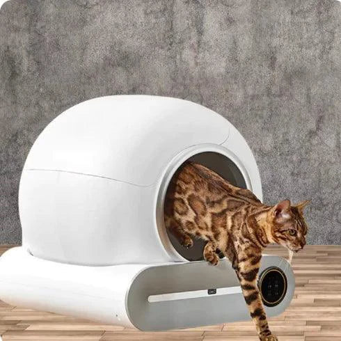 AutoClean Self-Cleaning Cat Litter Box