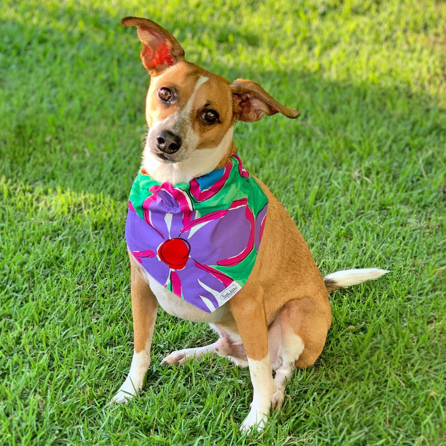 Surf Line Hawaii Na Pua Flowers Pet Bandana | Over-the-Collar | 100% Cotton | XS–L/XL