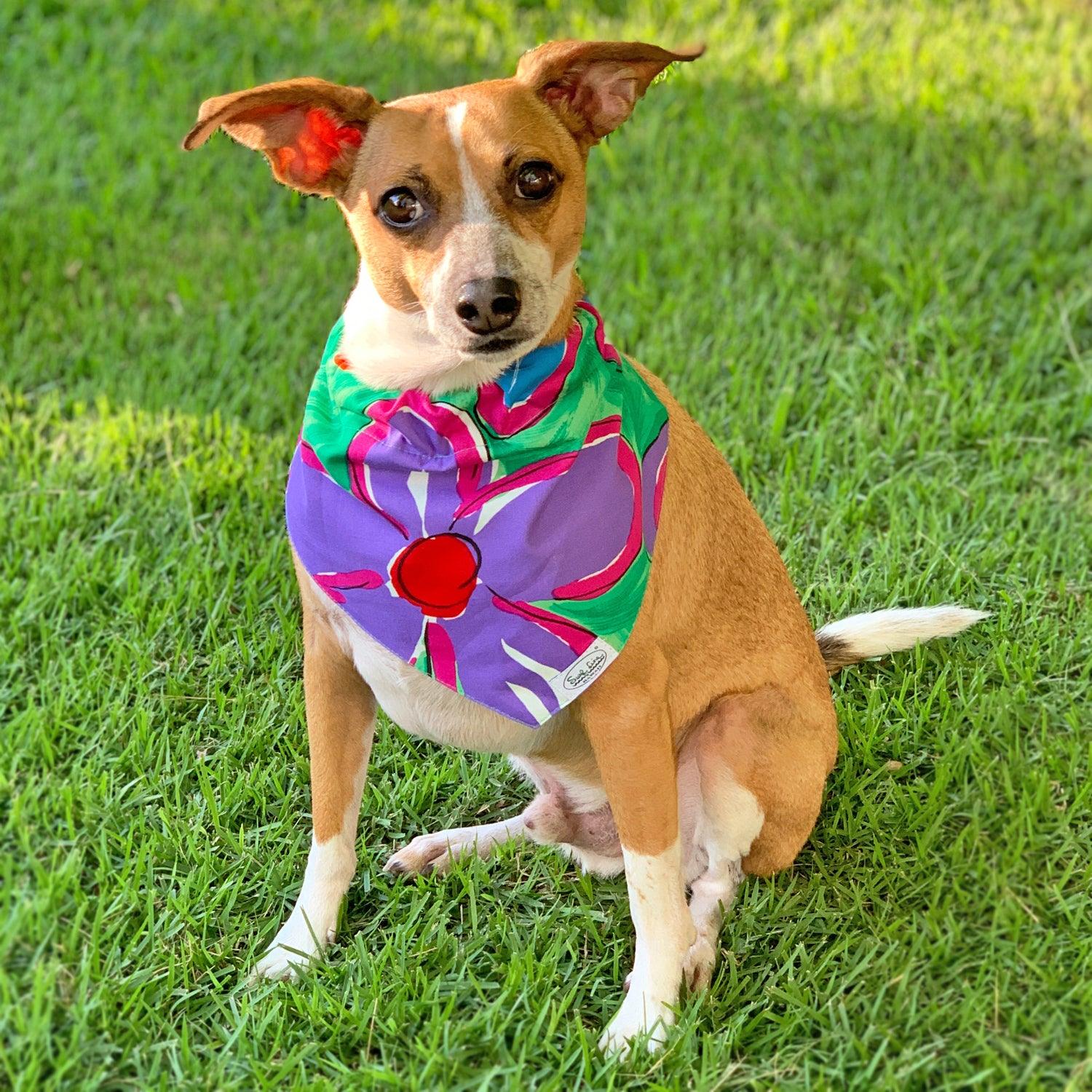 Surf Line Hawaii Na Pua Flowers Pet Bandana | Over-the-Collar | 100% Cotton | XS–L/XL