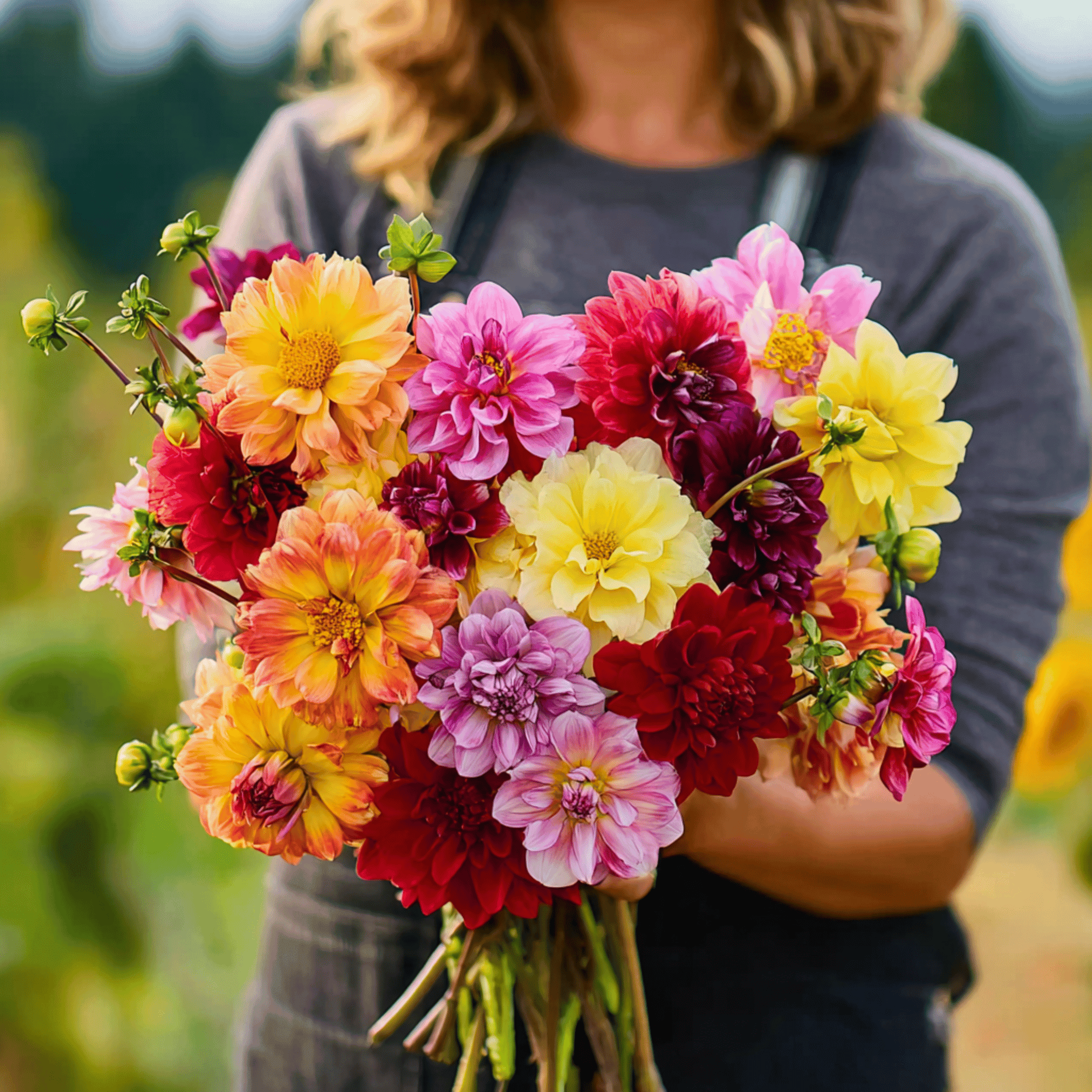 Person holding a colorful bouquet of flowers with a blurred background