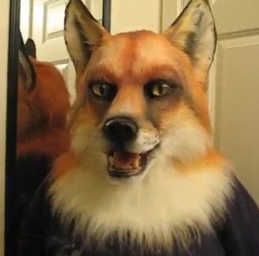 A close-up of a person wearing a realistic fox mask or costume, with orange, cream, and black fur details and a dark collar, photographed indoors in front of a mirror.