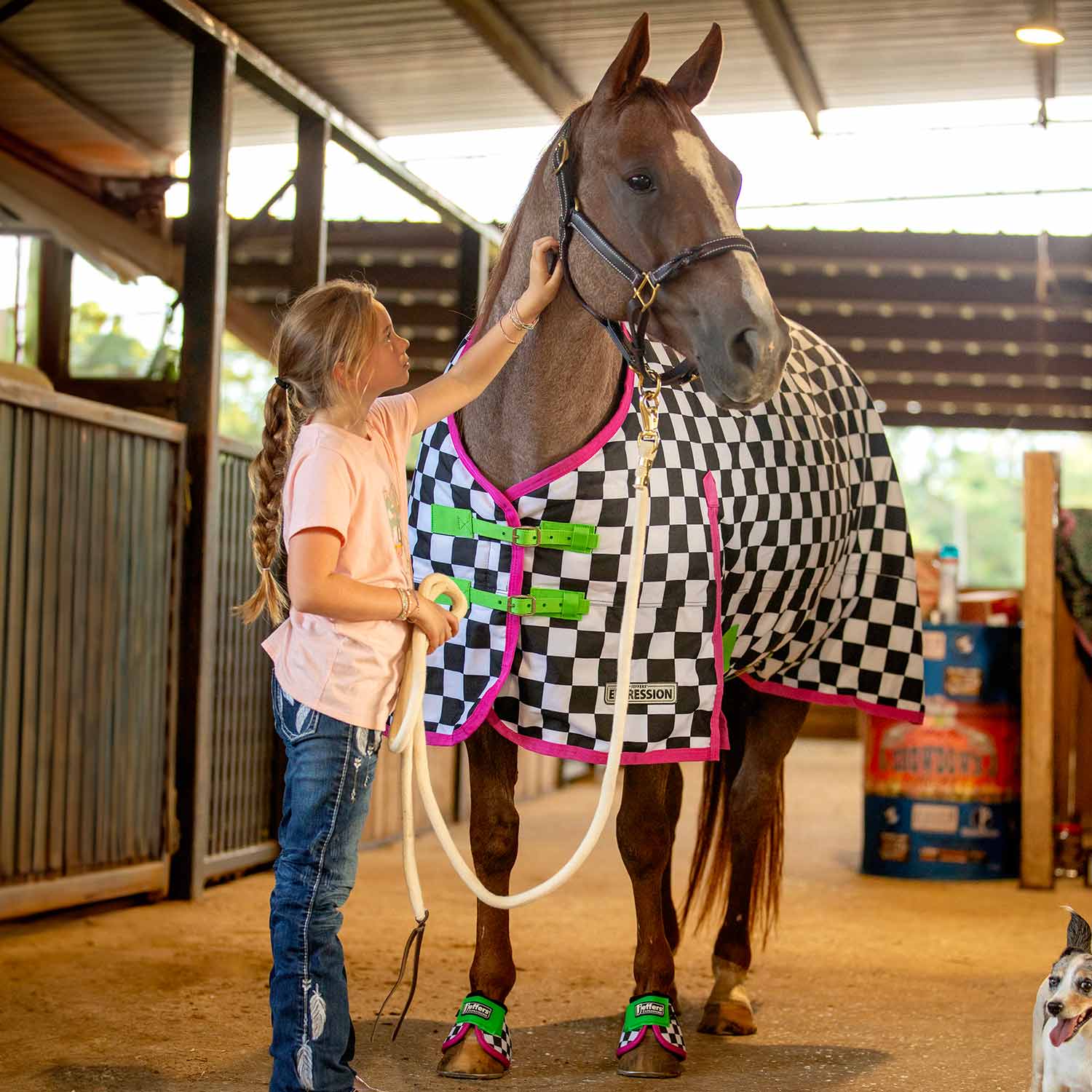 Jeffers Expression 1200D Turnout Horse Blanket — 240g Waterproof & Breathable