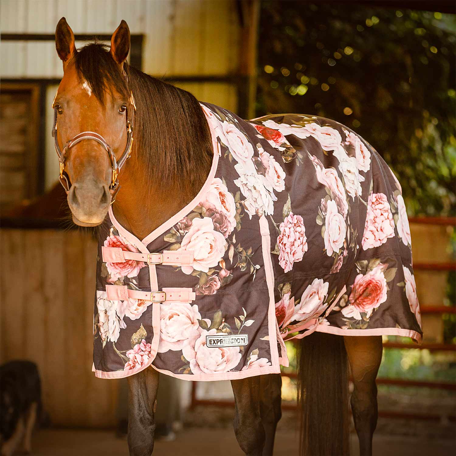 Jeffers Expression 1200D Turnout Horse Blanket — 240g Waterproof & Breathable