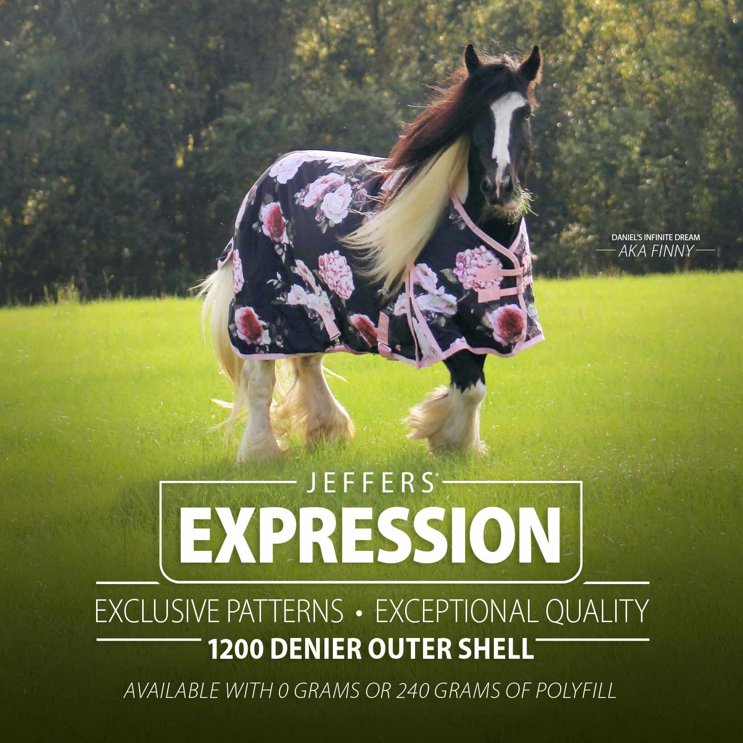 Jeffers Expression 1200D Turnout Horse Blanket — 240g Waterproof & Breathable