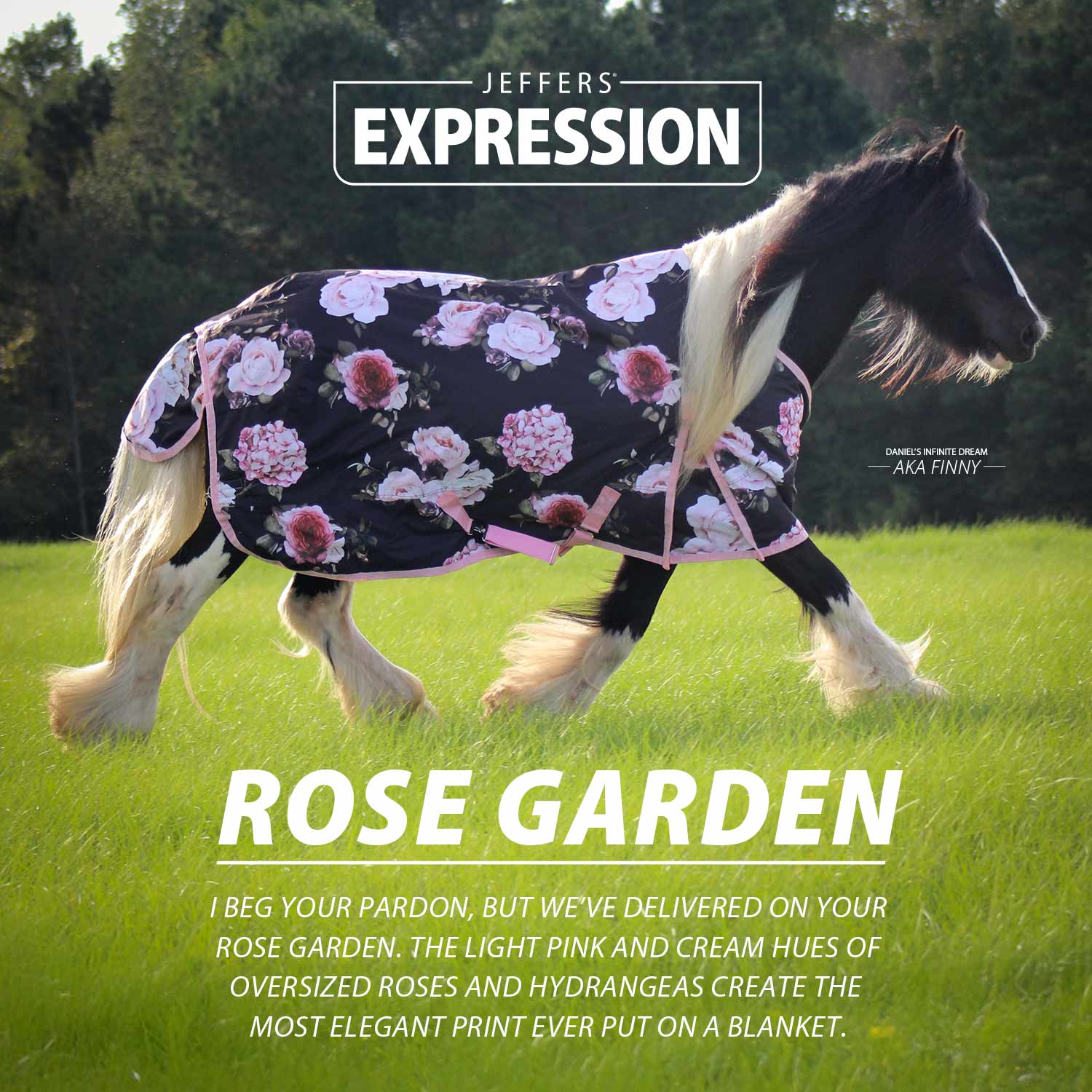 Jeffers Expression 1200D Turnout Horse Blanket — 240g Waterproof & Breathable