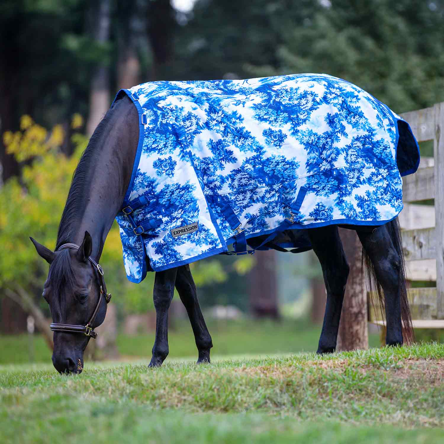 Jeffers Expression 1200D Turnout Horse Blanket — 240g Waterproof & Breathable