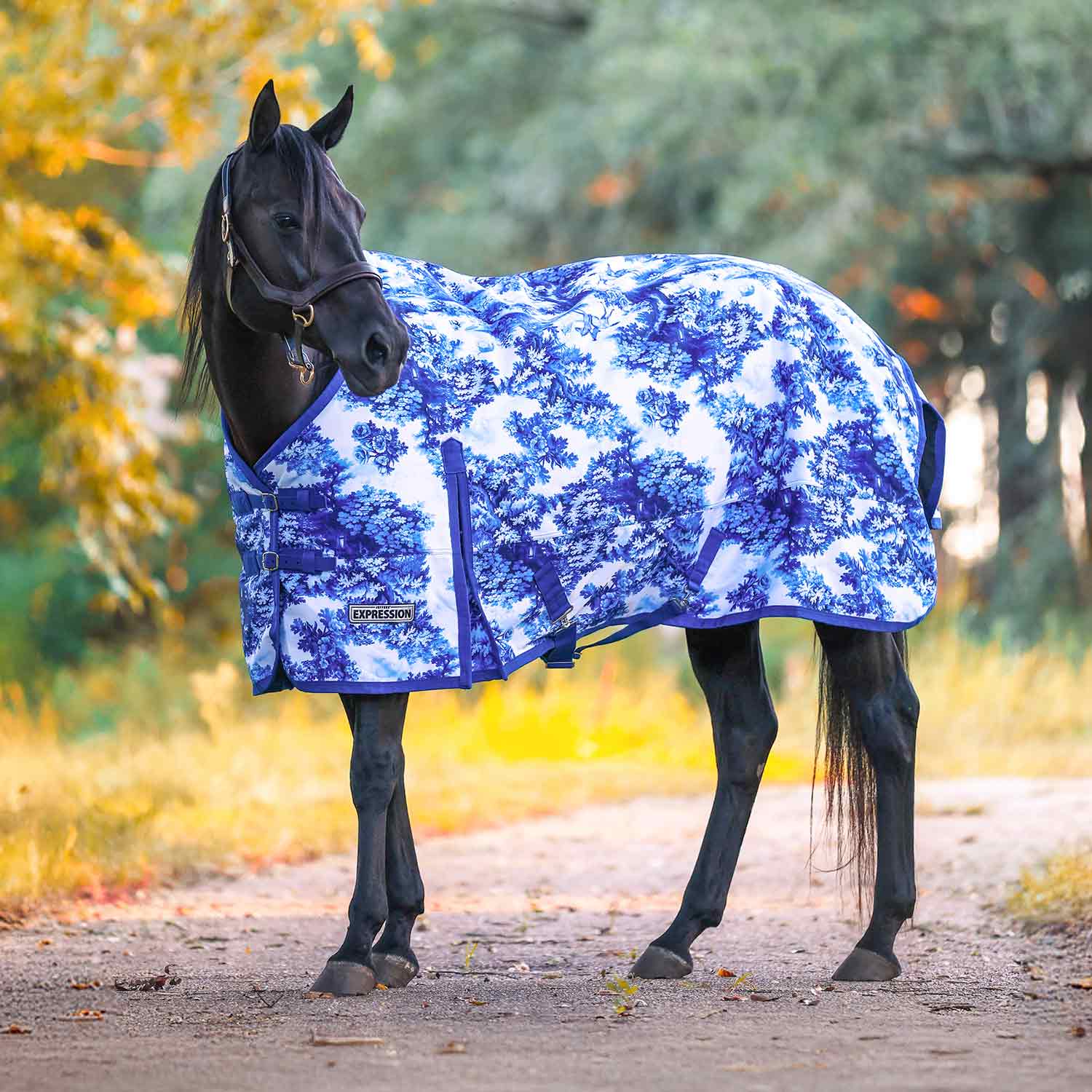 Jeffers Expression 1200D Turnout Horse Blanket — 240g Waterproof & Breathable