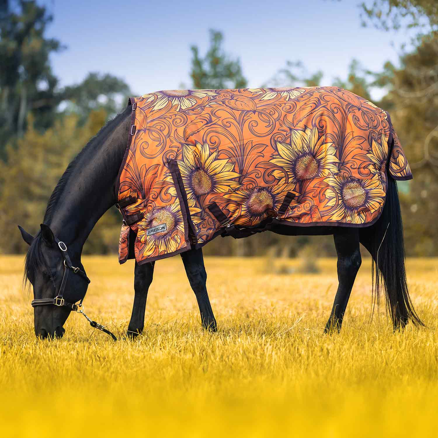 Jeffers Expression 1200D Turnout Horse Blanket — 240g Waterproof & Breathable