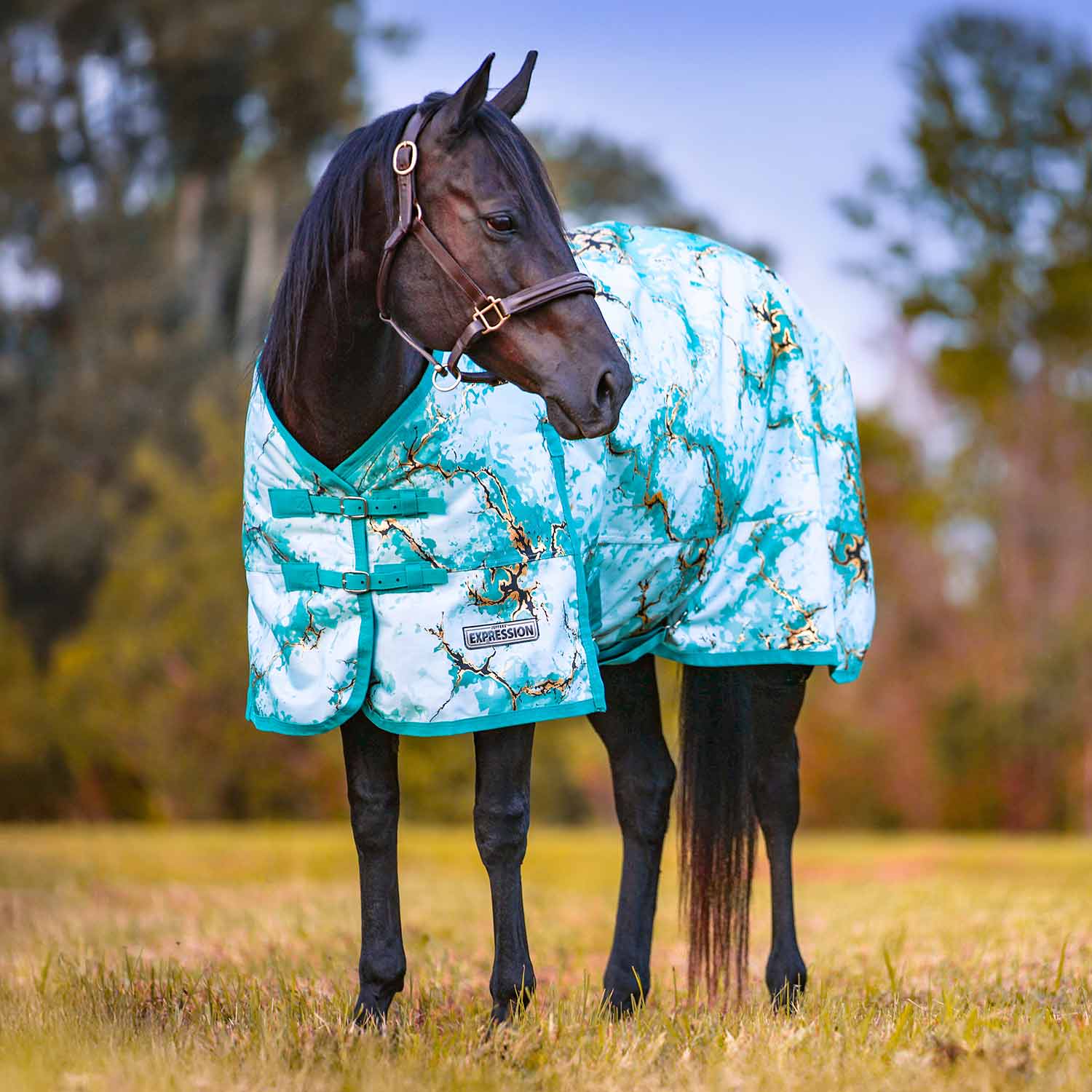 Jeffers Expression 1200D Turnout Horse Blanket — 240g Waterproof & Breathable