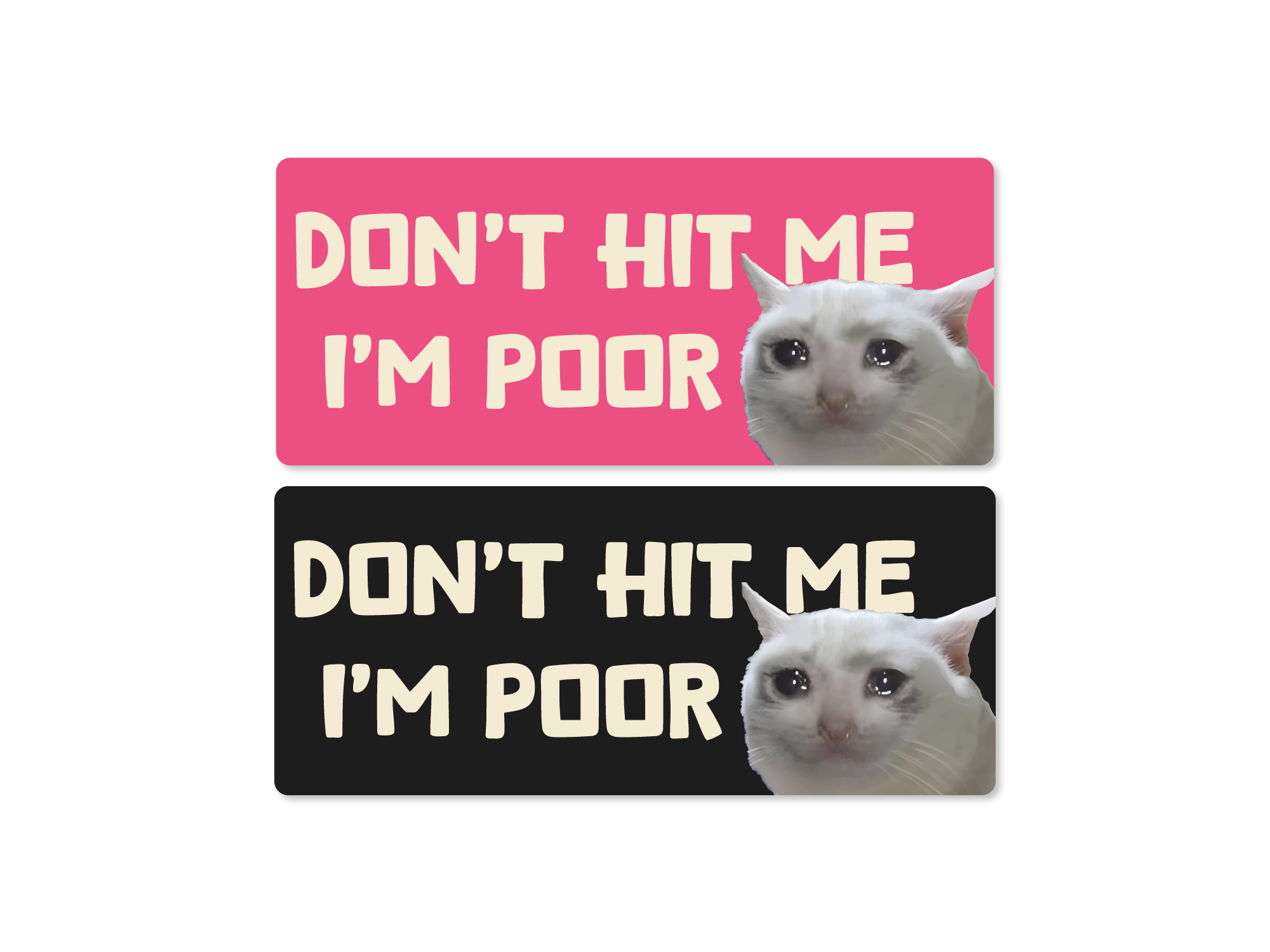 Two signs with a cat and text 'Don't hit me I'm poor' on a white background.