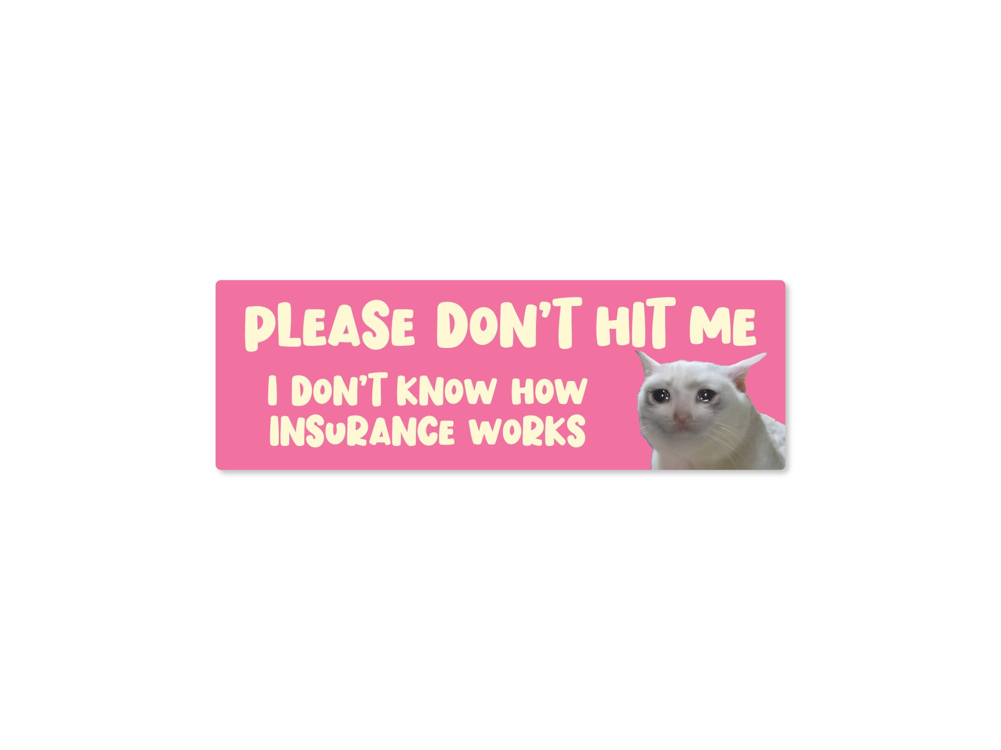 Bumper sticker with a cat and humorous text on a pink background