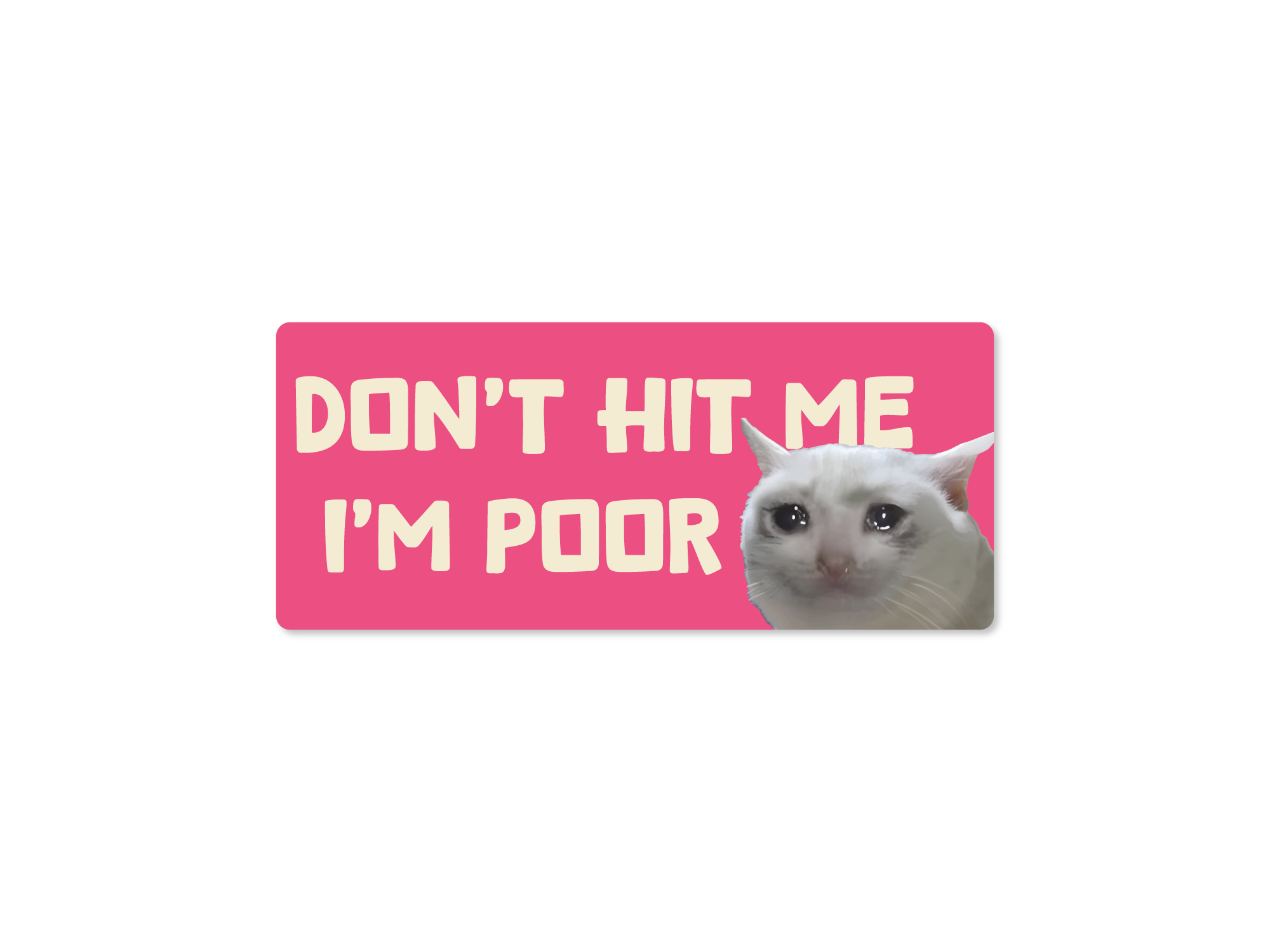 Cat with a pink sign saying 'Don't hit me I'm poor' on a white background