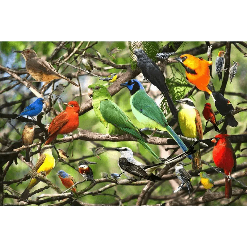 Colorful birds perched on branches against a natural background