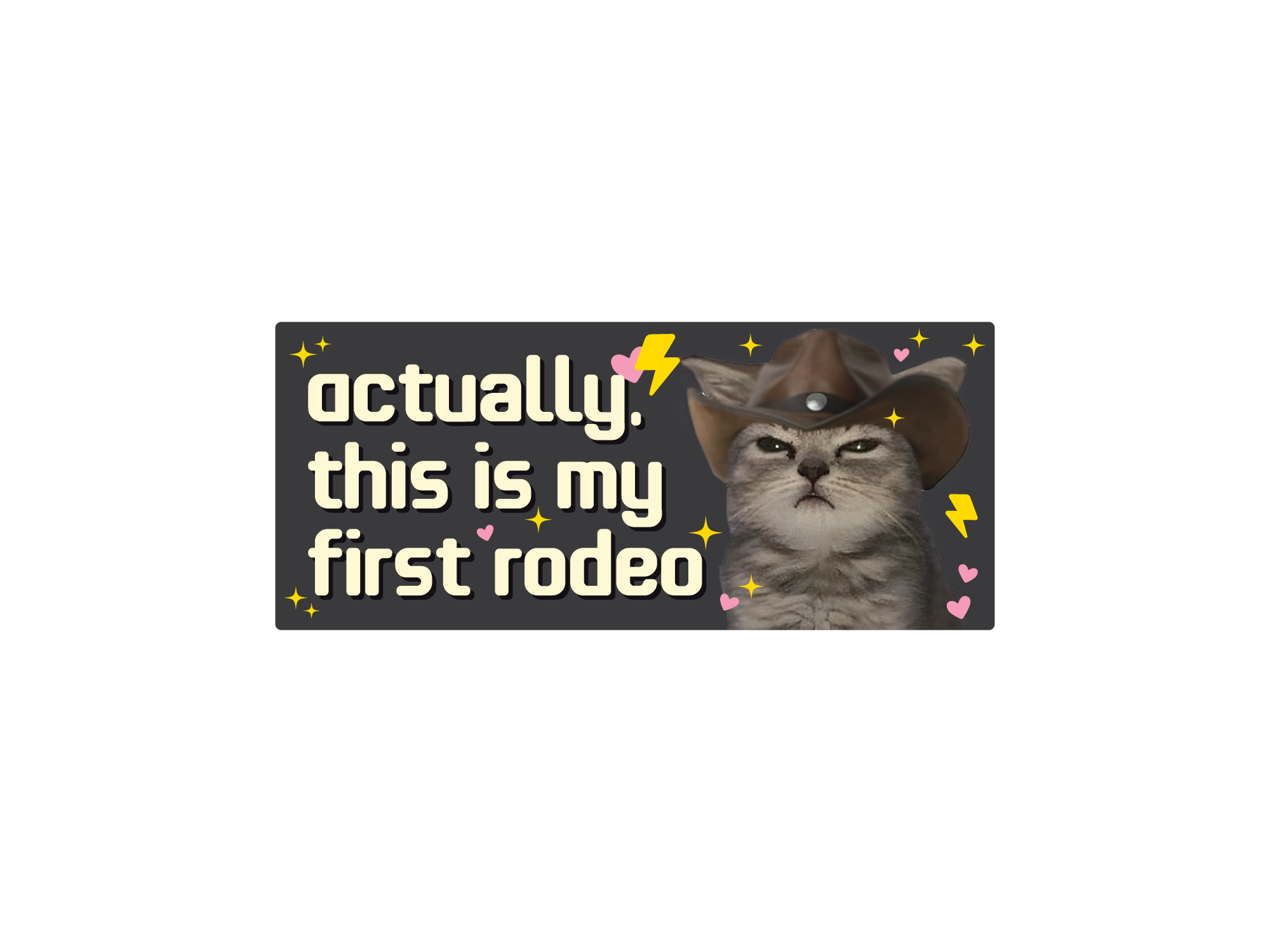 Sticker with a cat wearing a cowboy hat and text 'actually, this is my first rodeo' on a white background.