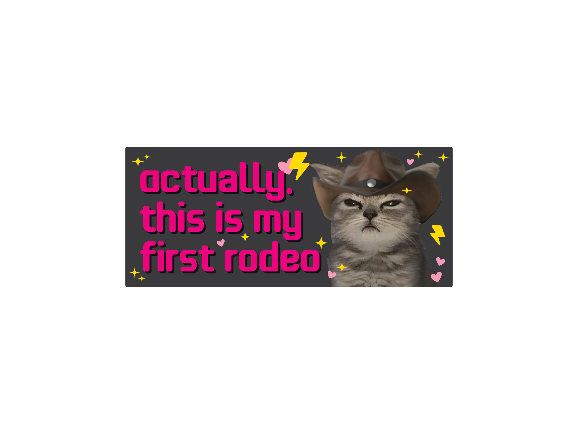 Cartoon cat in a cowboy hat with text 'actually, this is my first rodeo' on a black background