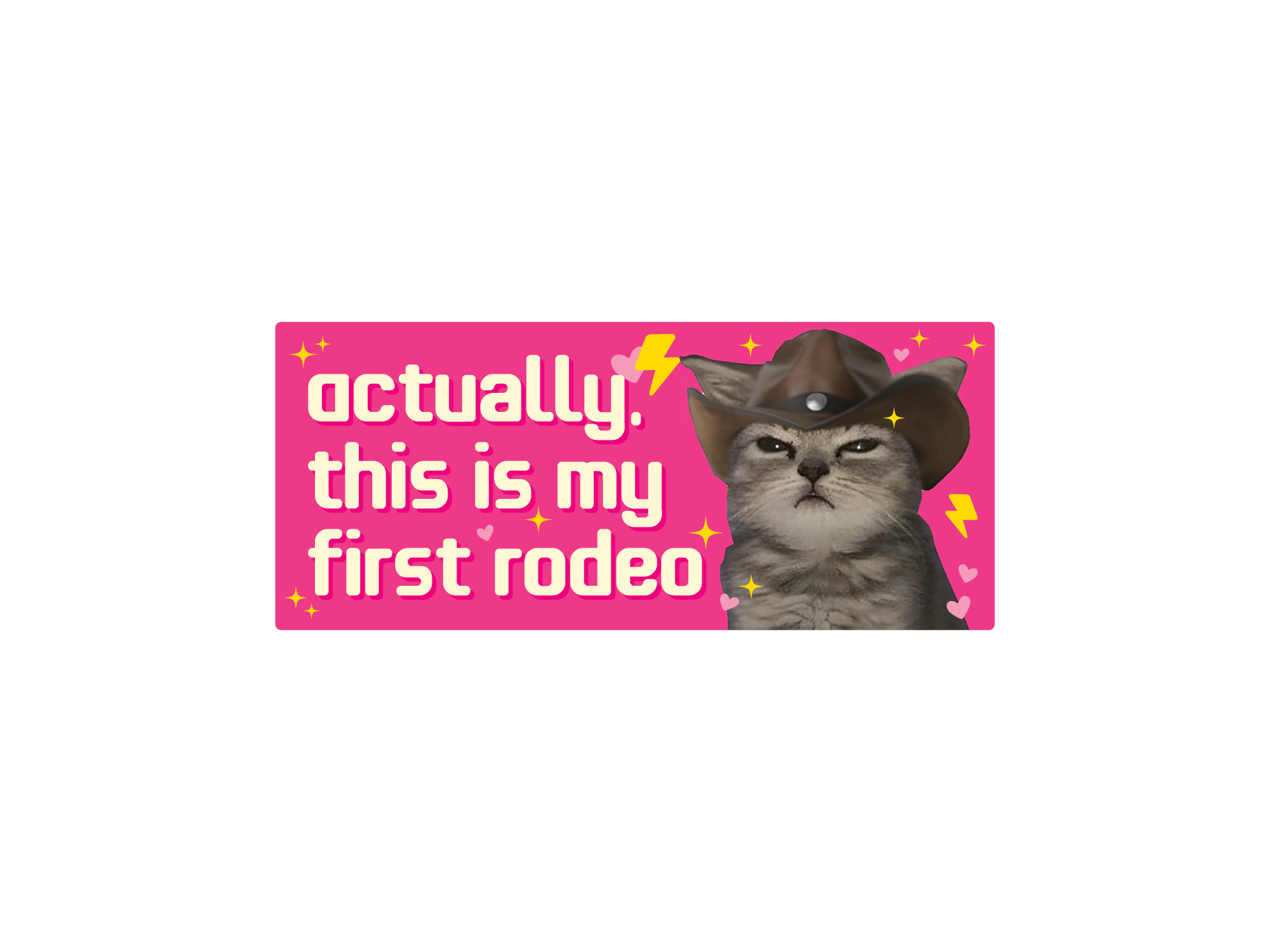 Cartoon cat in a cowboy hat with 'actually, this is my first rodeo' text on a pink background
