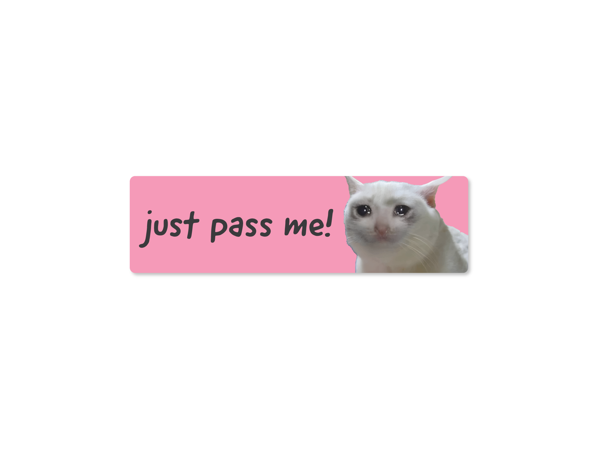 White cat peeking from behind a pink banner with text on a white background