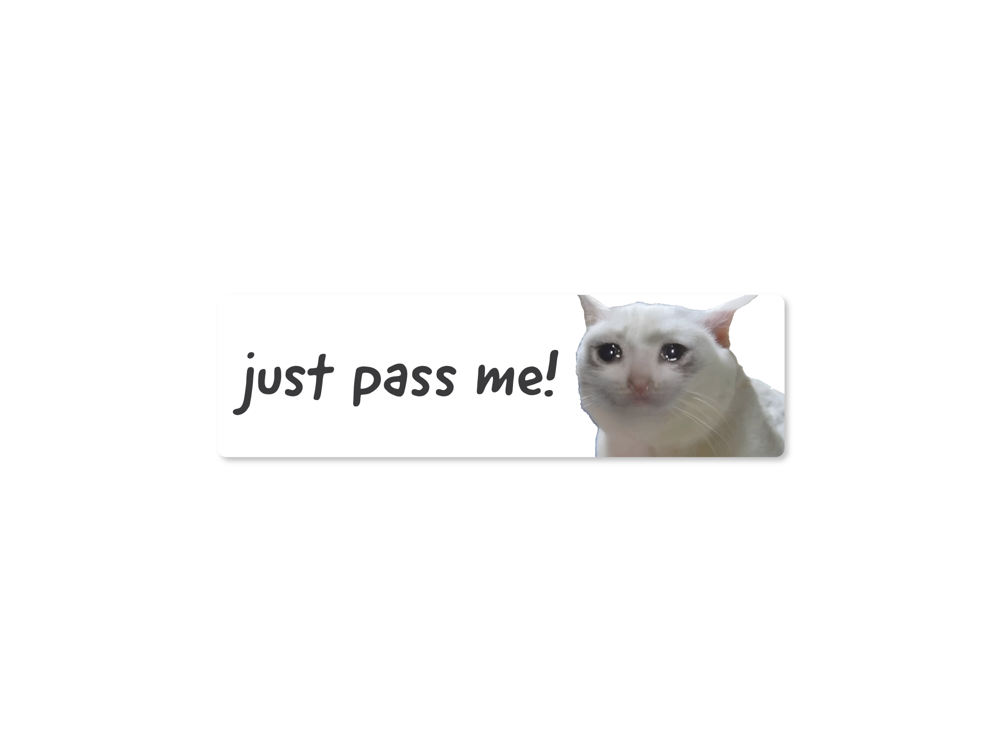 Cat peeking over a white background with text 'just pass me!'