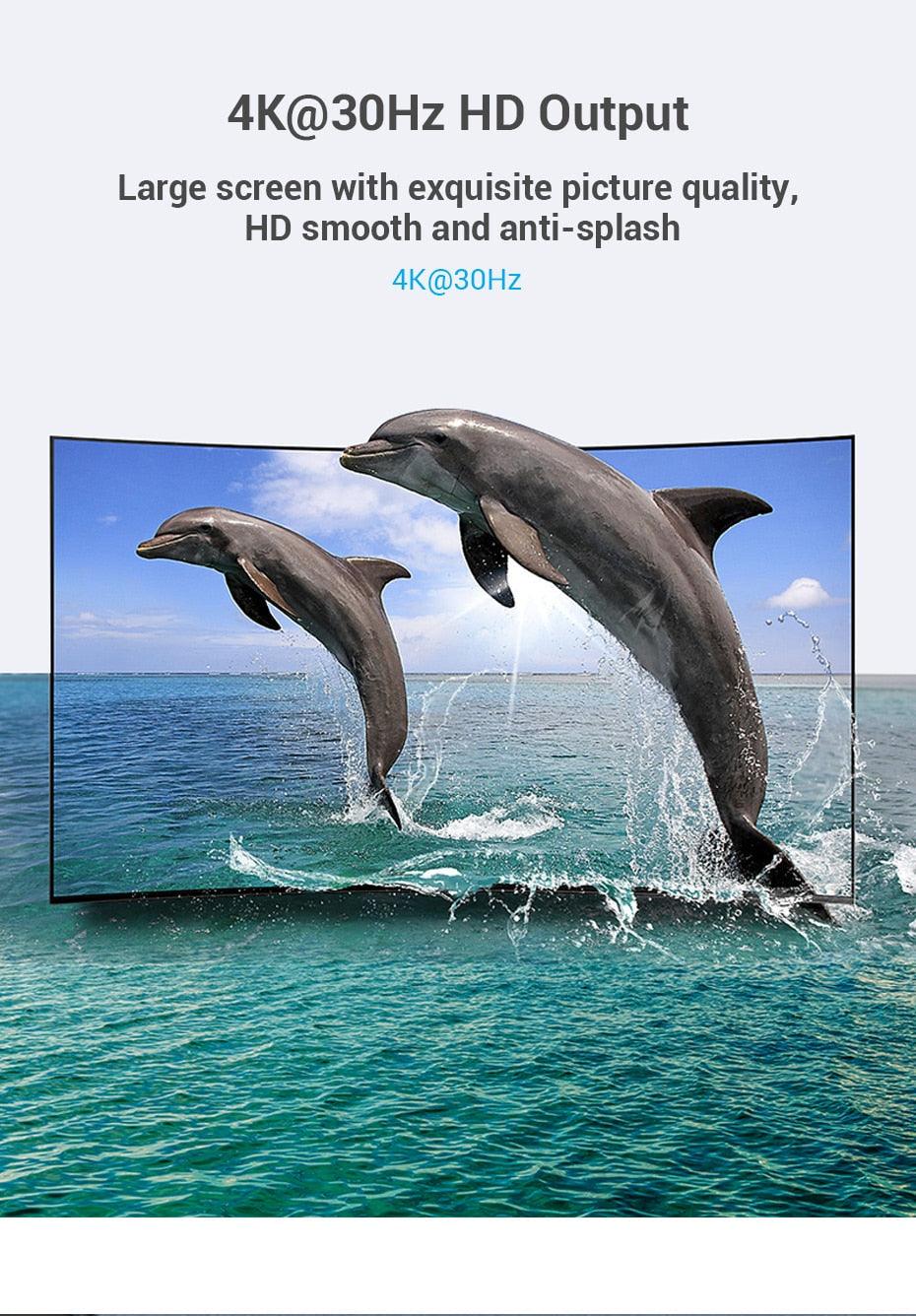Two dolphins jumping out of water on a screen with text about 4K@30Hz HD output.