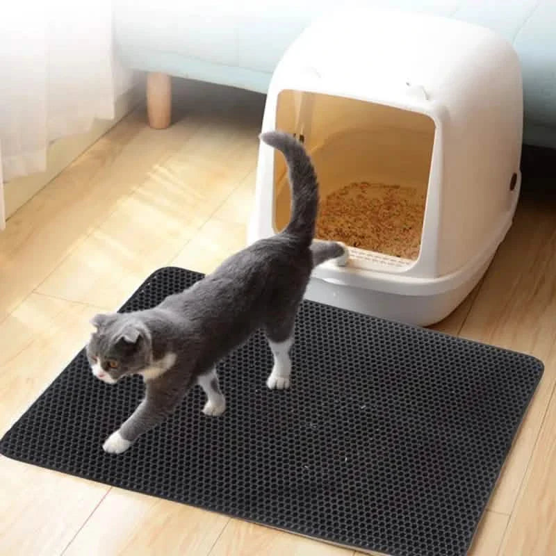 EVA Double-Layer Cat Litter Trapping Mat with Waterproof Base