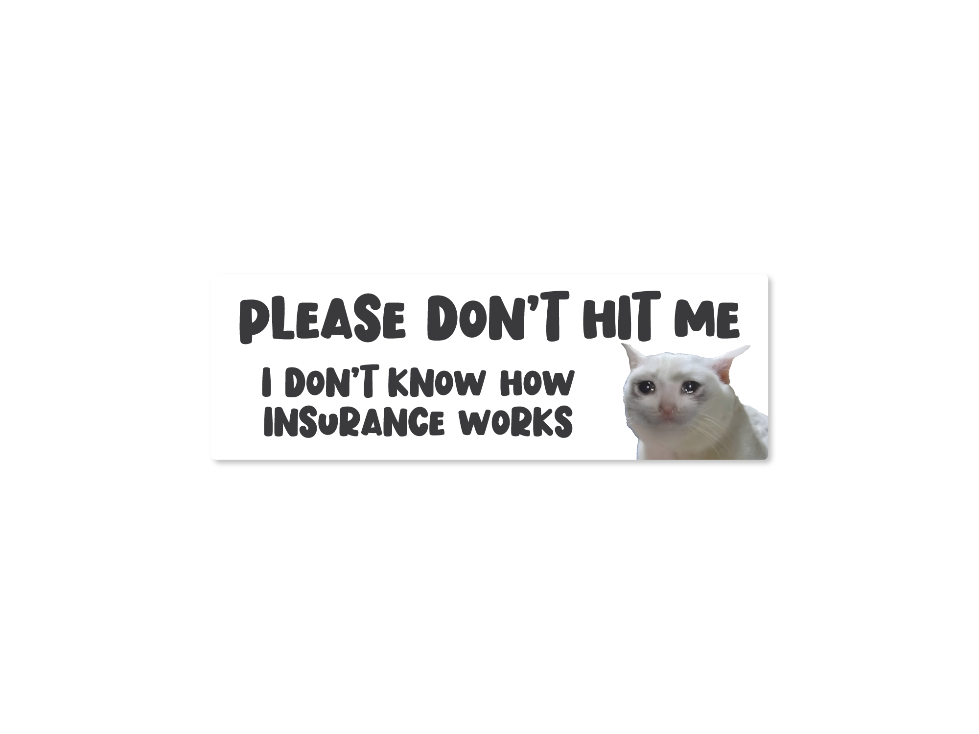 Cartoon cat with text 'Please don't hit me I don't know how insurance works' on a white background